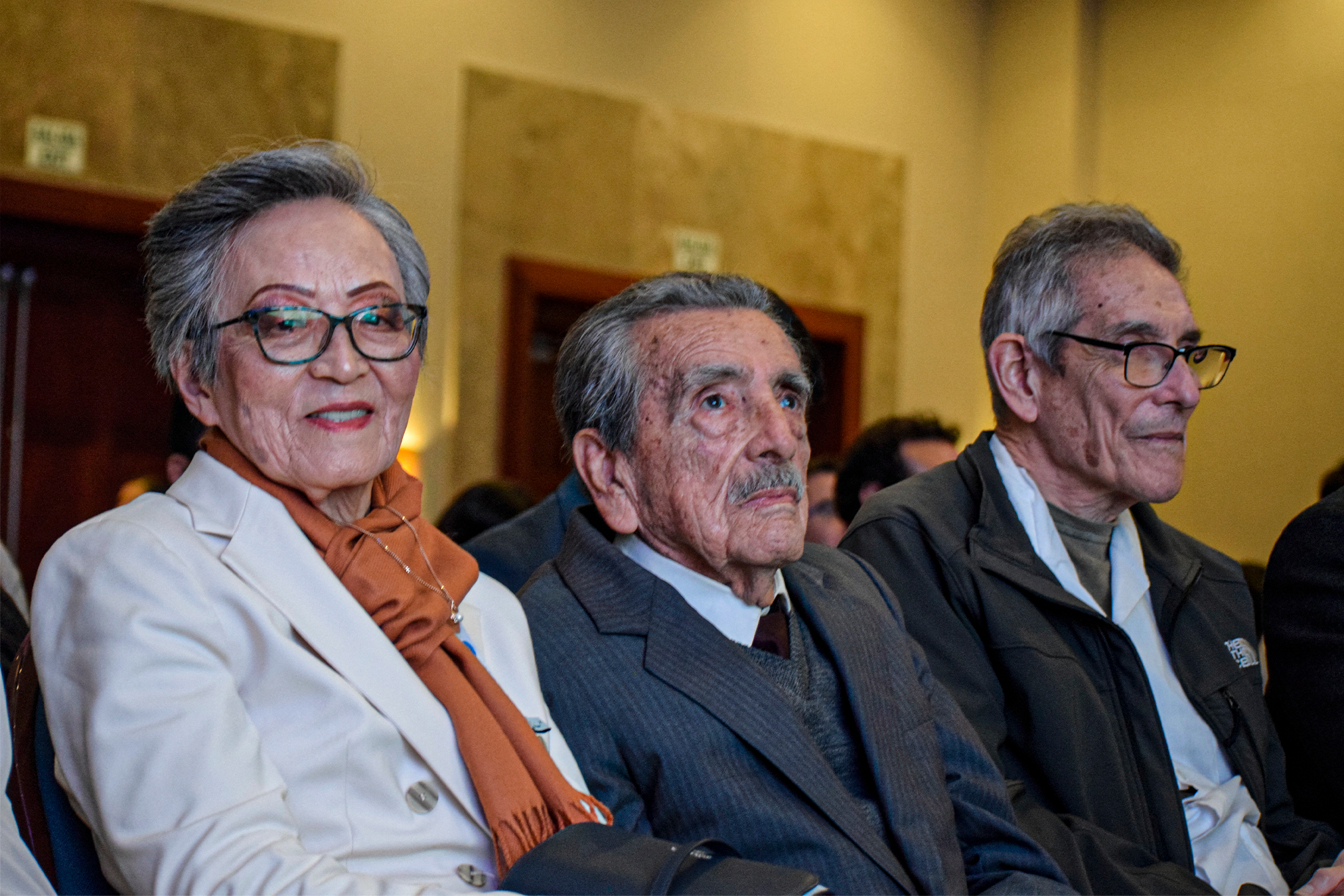 API Perú 2025