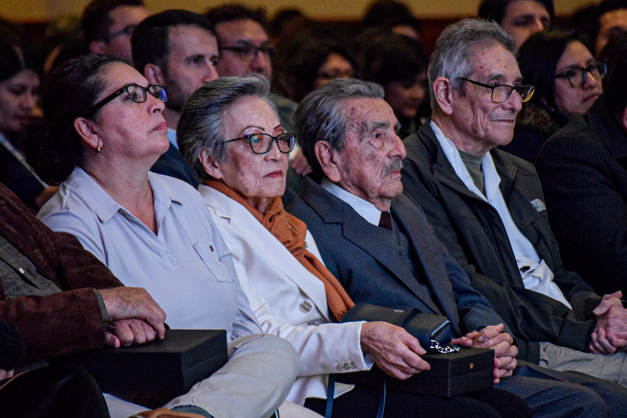 API Perú 2025
