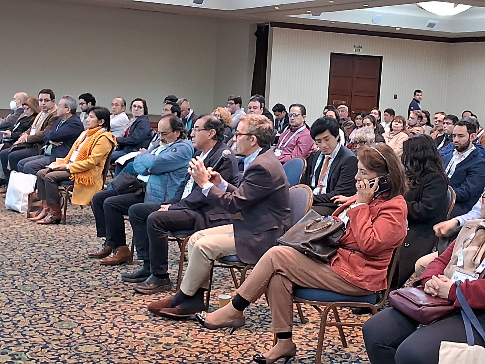 API Perú 2025