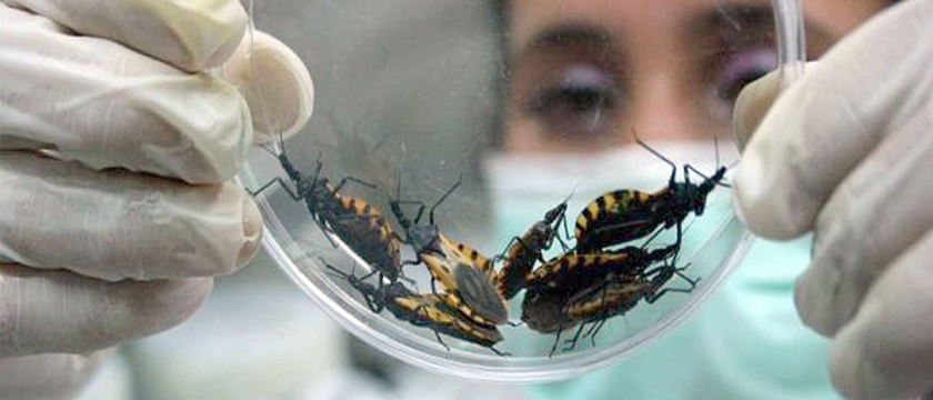 Chagas